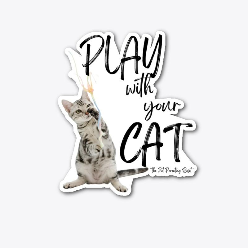 Play With Your Cat