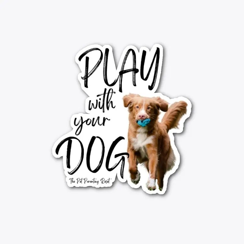 Play with your Dog